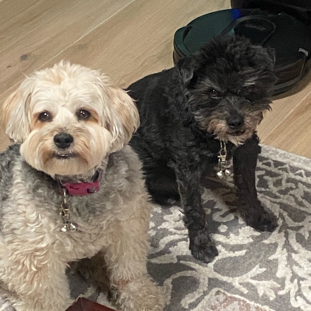 Meet your Posher, Sofi